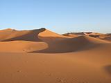 Sand Dunes of Sahara