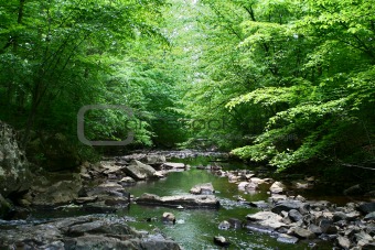 Silent creek