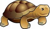 Cute tortoise vector illustration