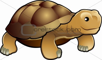 Cute tortoise vector illustration