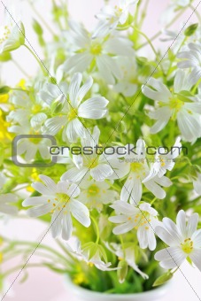 Beautiful forest flowers as table decoration