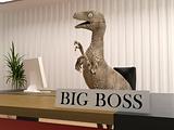 the big boss