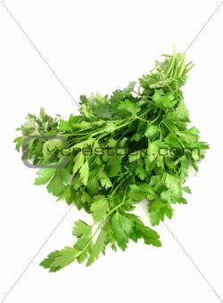 parsley isolated