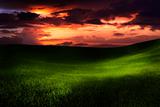 Beautiful sunset on a green meadow