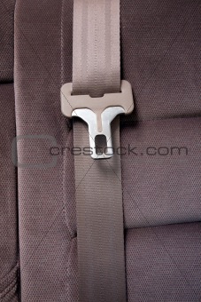Seatbelt in Car