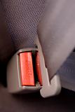 Press Seatbelt Detail