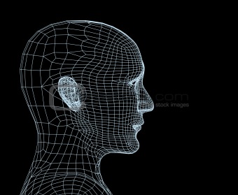 Head of the person from a 3d grid