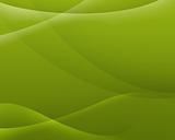 Abstract  background of green color