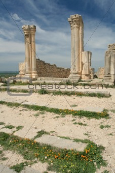 Roman columns in ancient city Volubilis