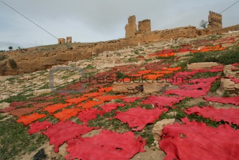 Leather on ruins of ancient Fez