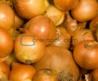 Onions background