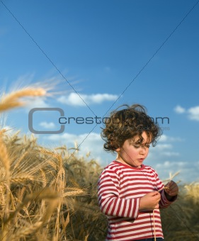 kid in wheat field