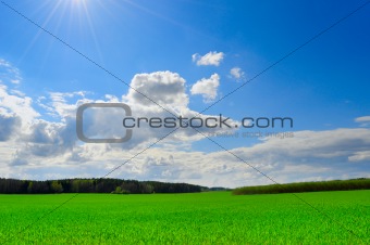 Blue sky green grass