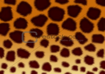 Structure for a background - a fluffy skin of a leopard