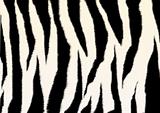 Texture - a fluffy skin of a zebra