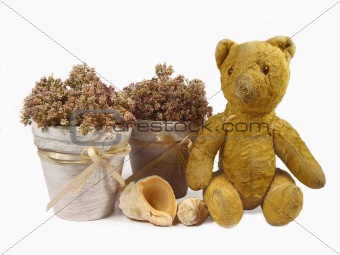 Flowerpots, cockleshells and a toy bear. Object over white