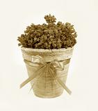 Ancient decorative flowerpot with a tape. Sepia
