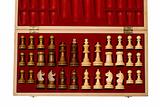 Chess pieces in case