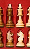 Chess pieces in case
