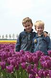Boys Between Tulips