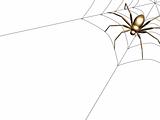 3d spider from the gold, sitting on a web