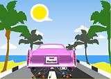 Pink wedding limousine with palms and sea beach