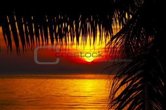 tropic sunset