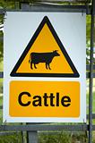 A cattle sign on a fence