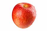 Red Apple  (ZH)
