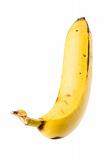 Banana  (ZM)