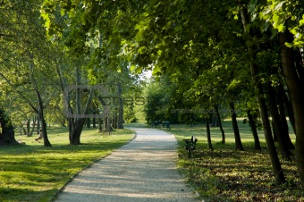 Path through a park