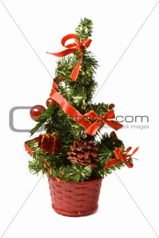 decorative fir