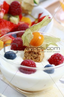 Healthy breakfast or snack - yogurt with fruits