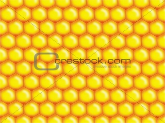 honey bee comb