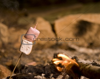 Marshmallow at campfire