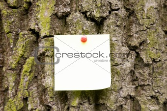 Note On The Tree