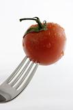 fork/tomato