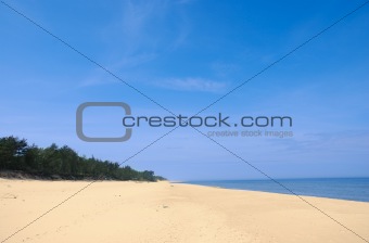 wide empty summer beach