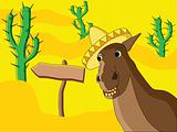Mexican horse