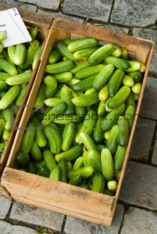 cucumbers in wood crate at farmer's market, Germany