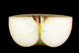 Half of an apple  (ZB)