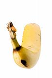 Banana  (ZN)