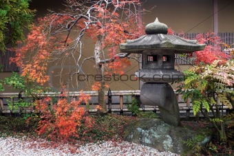 japanese lantern and autumnal maple tree