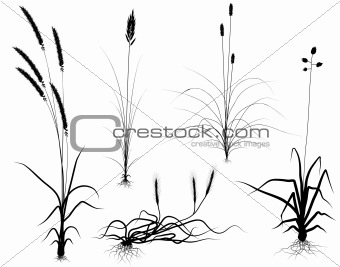 Grass silhouettes