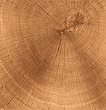 wooden cut texture 