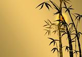 Branches of a bamboo