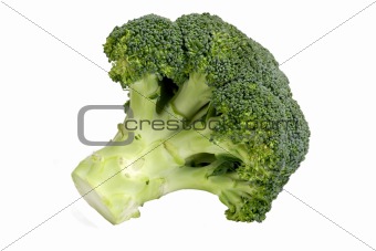 Closeup of broccoli