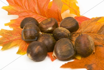 chestnuts on a leaves 