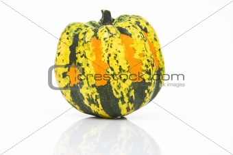 colorful pumpkin
