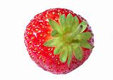 single strawberry - isolated